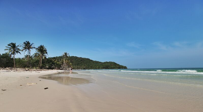 E3C5BBFE 91B5 4B17 AF92 D8DCE505FE3D