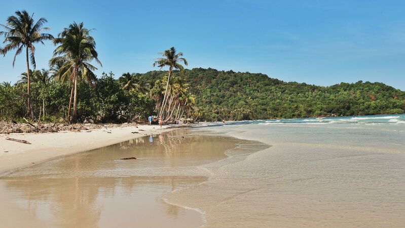 62F9D50B 90C6 4BBD AA14 F4EC2F3E6150