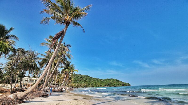 FB415B5A EB28 493E B145 E1F05D253B0D