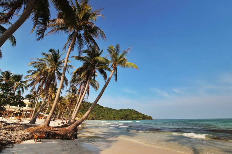 DC4B0159 920C 4480 BB45 DFAC5FA9ECAA