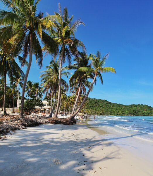 F585C1BC 9D1C 4E9E 89D5 533F51B67EA2