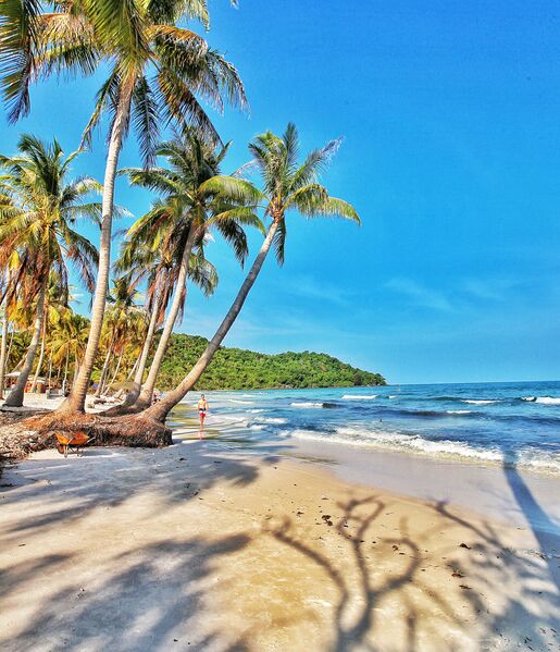 45F17676 2F4A 418C A5B5 714EA0EF0EC2