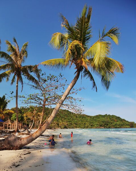 00146001 8567 471C A8D6 B3615530FC9A