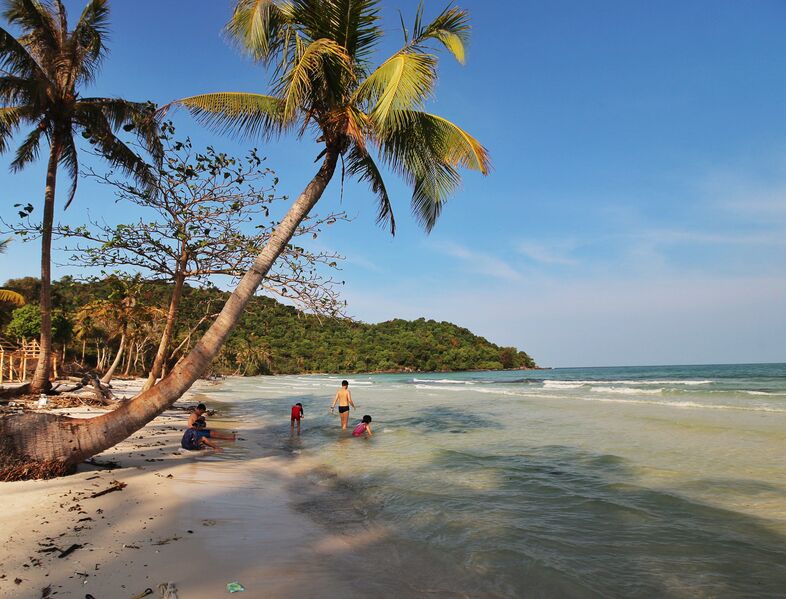 D15A65DB 2426 4FE5 9C48 101152C66C96