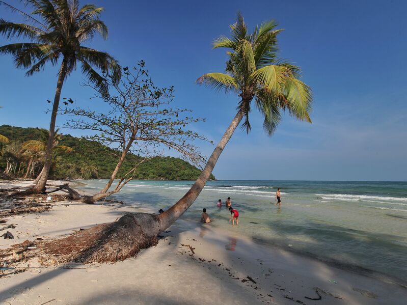 F9AFA76F BF7F 4440 8A4E 8335B2D96E69