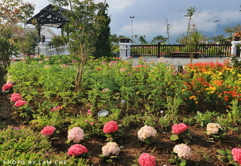 1CD51930 7561 45BA B7B3 28C605346193 1CD51930 7561 45BA B7B3 28C605346193