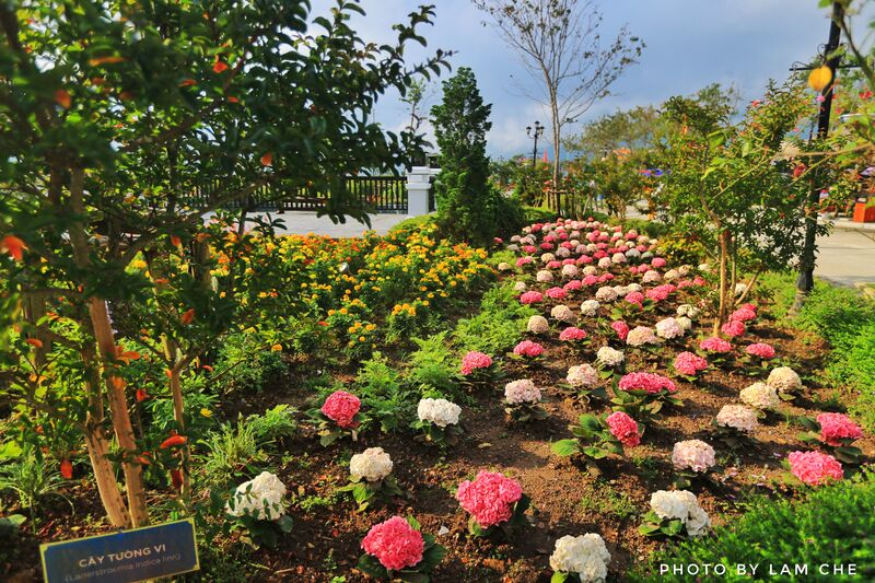 B57B5F79 C848 437F 8AB9 F6EC9488E63E B57B5F79 C848 437F 8AB9 F6EC9488E63E