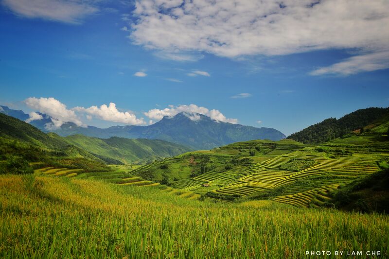 E4EBCAD1 D1CC 466A ACDB 3FD8617D777A E4EBCAD1 D1CC 466A ACDB 3FD8617D777A