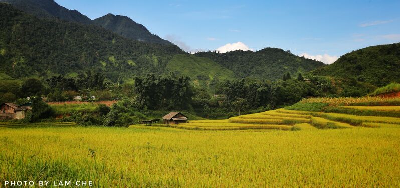 E85CD187 6574 4AFB BDB7 827A113A332F E85CD187 6574 4AFB BDB7 827A113A332F