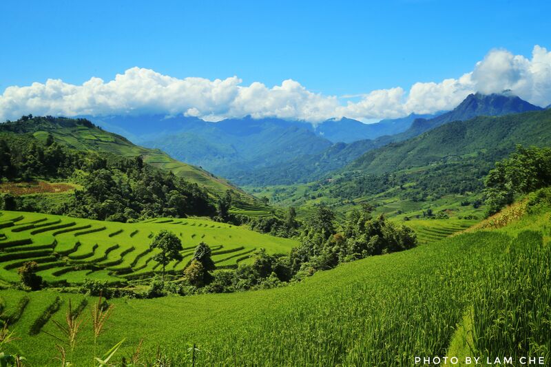 9354CBDF FE91 4451 BF96 44C014ECDC69 9354CBDF FE91 4451 BF96 44C014ECDC69