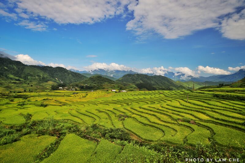 8CDA60FC 2787 4182 A237 E24DAA81B8C8 8CDA60FC 2787 4182 A237 E24DAA81B8C8