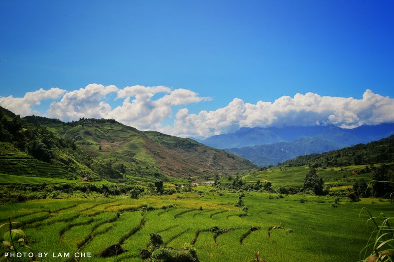 D49AB044 89BD 488D 853B 3F762EA0EEFC D49AB044 89BD 488D 853B 3F762EA0EEFC