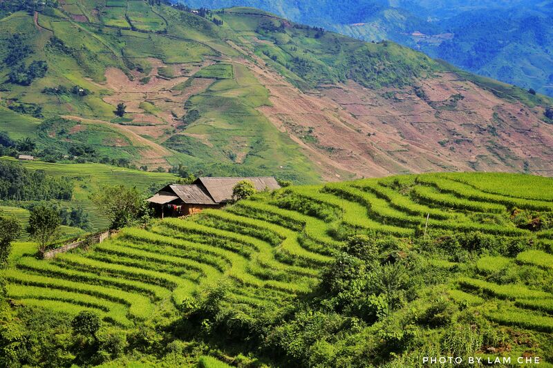 46A73E81 2A6B 496B 9418 E0ECDA8043C9 46A73E81 2A6B 496B 9418 E0ECDA8043C9