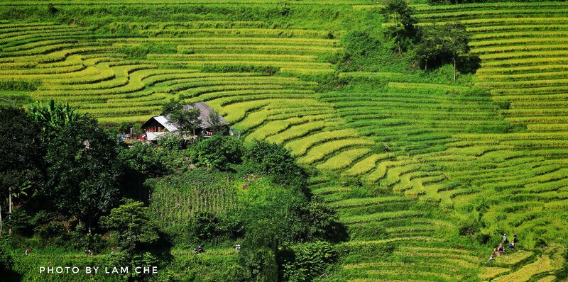 9E71ACC8 9D18 4F75 A538 7AA2E5AF9007 9E71ACC8 9D18 4F75 A538 7AA2E5AF9007