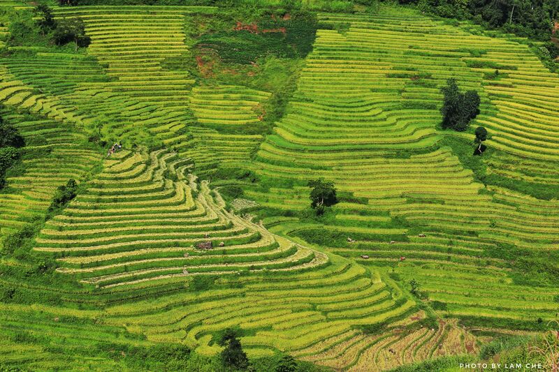 D11FADA9 3F28 4F56 89F0 3E662D48CFBE D11FADA9 3F28 4F56 89F0 3E662D48CFBE