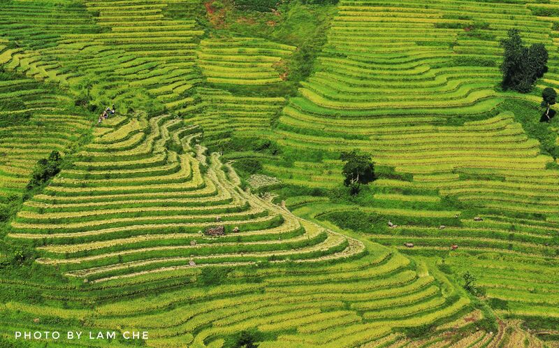 CA49AA7D 5D5F 436B BB54 9710DDB65463 CA49AA7D 5D5F 436B BB54 9710DDB65463