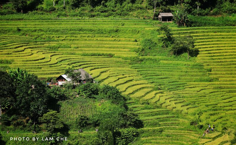 25C45785 04B2 4C22 A8AF EBC336B4F077 25C45785 04B2 4C22 A8AF EBC336B4F077