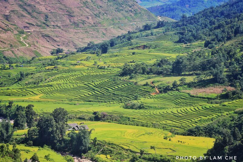 079A4D43 CA7A 42CA 90B6 901CF1565A43 079A4D43 CA7A 42CA 90B6 901CF1565A43