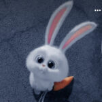 PING BUNNY